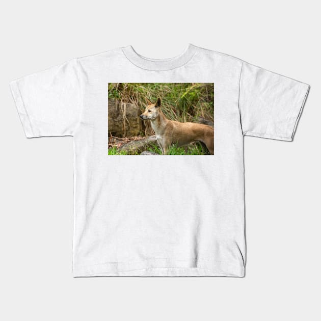 Dingo. Kids T-Shirt by sma1050